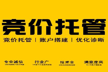 掌握SEM竞价技巧：从案例看效果提升